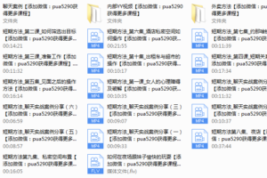2016年浪迹教育老佟《快速恋爱》