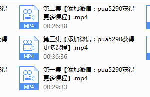 2017年浪迹教育《老佟419课程》