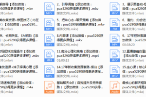 2017年《吴克群私教视频课》