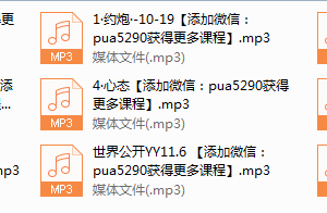 世界精品私教音频