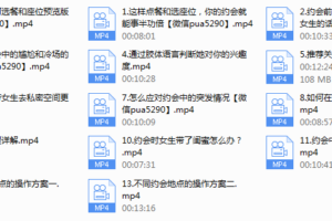 【魅力工程】高分攻略