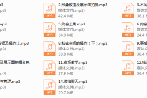绅士派《老佟私教2.0》