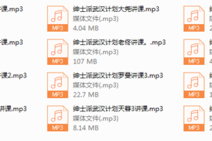 绅士派《武汉计划3天2夜》
