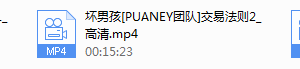 puaney交易法则（高清）