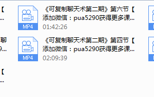 PUANEY可复制聊天课