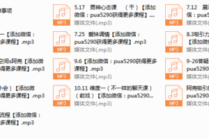 2017年《迷宫导师私教》