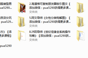 Kings赠品等多个文件