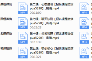 恋爱基础视频课