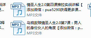 乌鸦救赎-情圣人生2.0