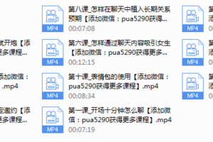 2017年痴情叔《聊天恋爱教程》