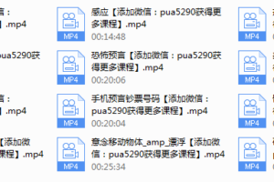 源靖 ICRS社交魔术