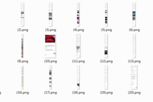 猎爱21天魔鬼训练营