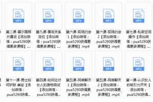 泰阳《极致·把妹1.0》