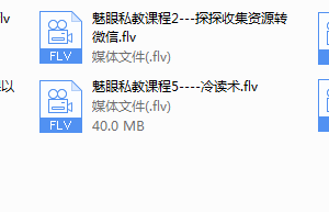 魅眼私教课程（完结）