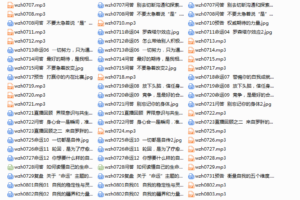 武志红的心理学课