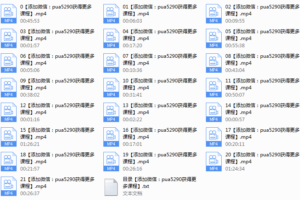 2017年《恋爱小贴士》线下视频课程