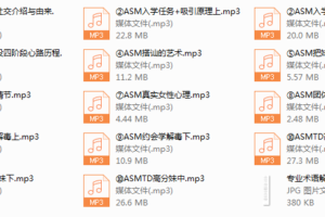 2018年《ASM恋爱学1.0》