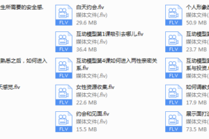 2018年Feeling情感学院《高级VIP网络课程》