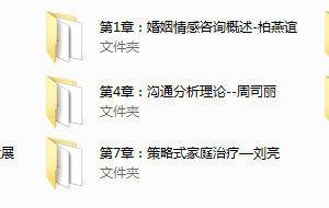 婚姻情感&家庭咨询技能大全