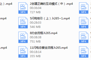 灵魂创造者《闪电恋爱术》