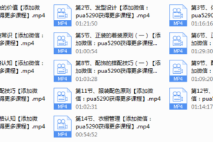 男士形象中级版