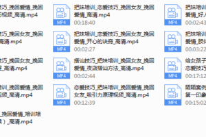 爱情体系挽回学院
