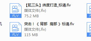张迪（全国健美冠军）