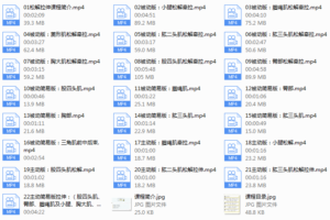 全身肌群——主动被动松解拉伸  更新至22期