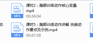 一介粗人【胸部进阶】精准动作系列视频课程（完结）