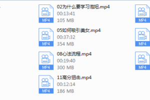 天使狙击队《内部1.0+2.0》