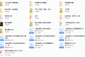 2016年無念团队《魅力方程式4.0》