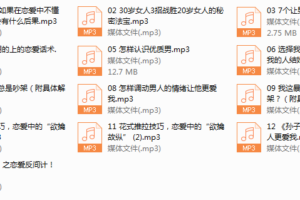 一个人听的恋爱技巧（完结）