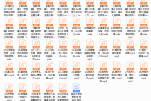 陈果人生果然不同