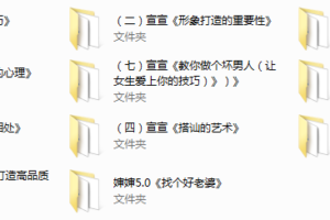 萱萱情感vip10套课+找个好老婆