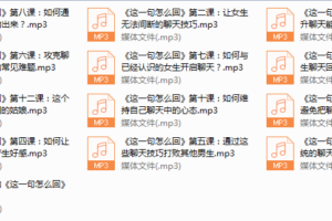泰阳团队《这一句怎么回》