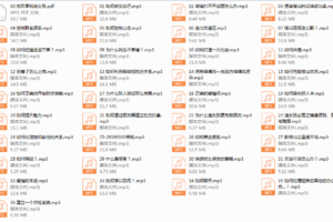 阮奇《手把手教你追女孩》（完结）