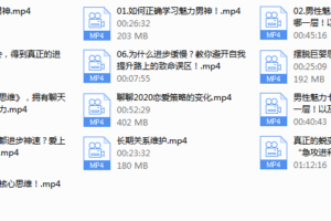 魅力男神系列之恋爱导航