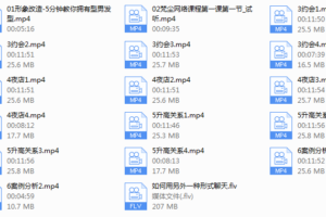 【经典课程】梵尘视频课