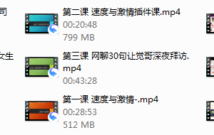 乌鸦救赎海觉 速度与激情