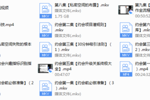 梵公子《约会加速器》