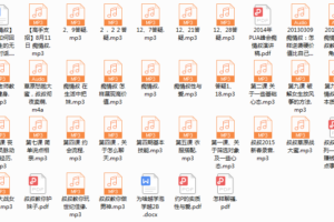 痴情叔内部YY音频