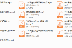 浪迹蓉城计划完整线下录音