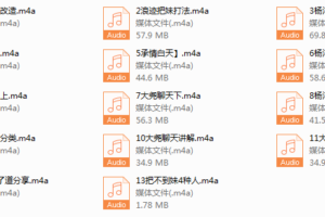 浪迹最新蓉城计划完整线下录音