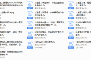 路易团队公开课