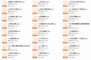 路易团队基础课音频