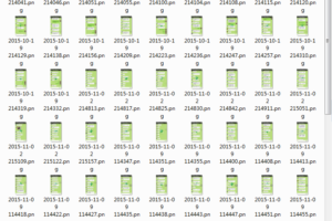 路易团队内部群聊天记录