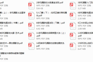 《手机摄影技巧全书》入门级+高级