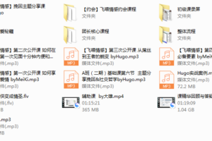 团长全套《主看核心课》