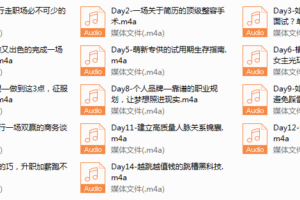 8-Chic颠覆认知的职场快速进化论。
