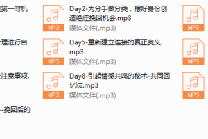 12-Chic零败绩恋爱起死回春术。